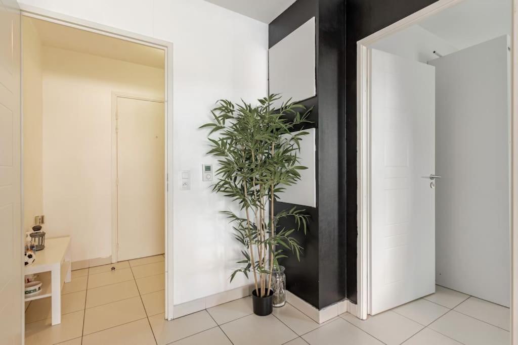 Cosy Et Chic Apartment
